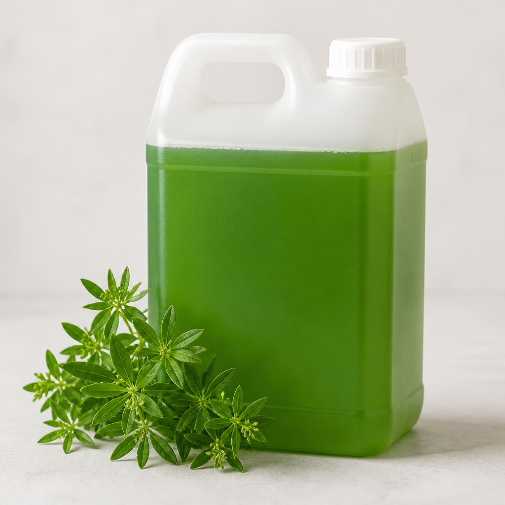 Waldmeister